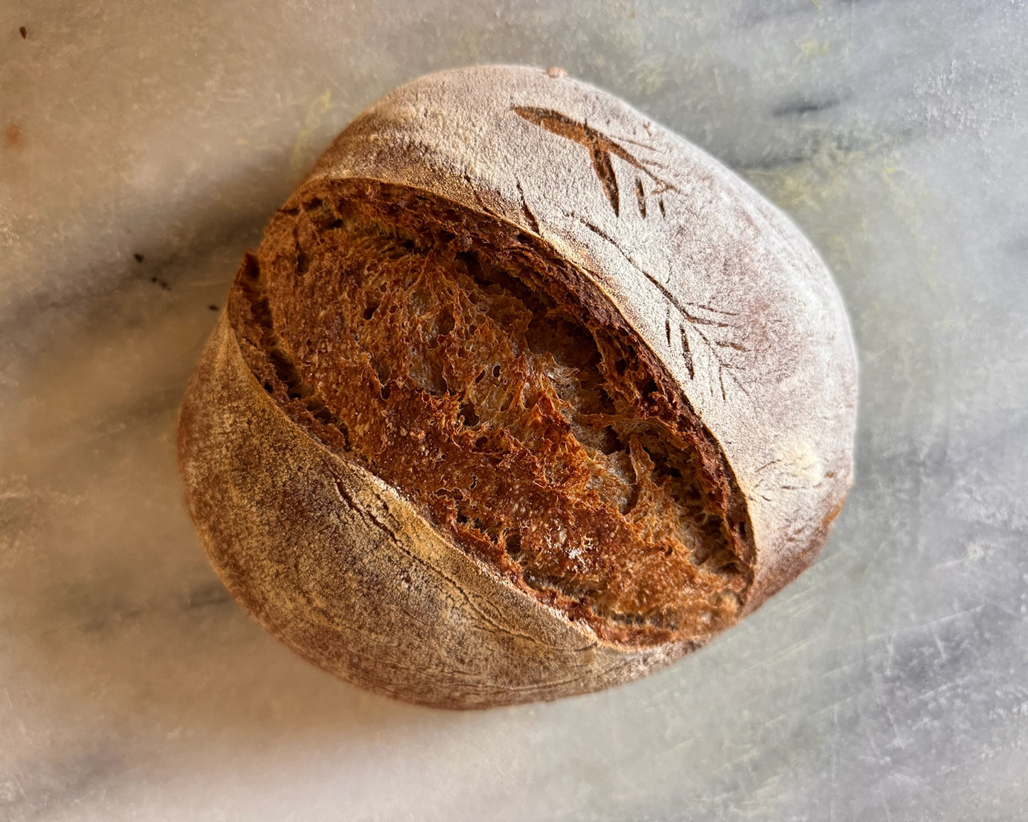 The Cornelius: Whole Wheat Sourdough