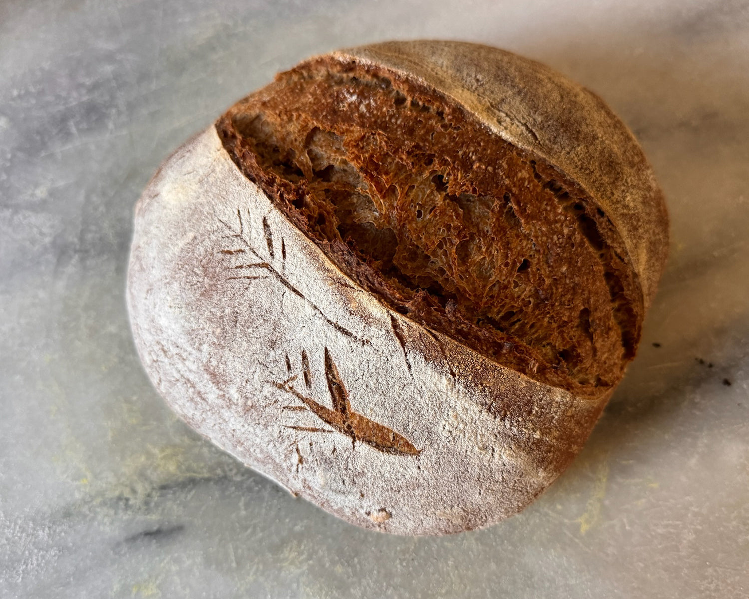 The Cornelius: Whole Wheat Sourdough